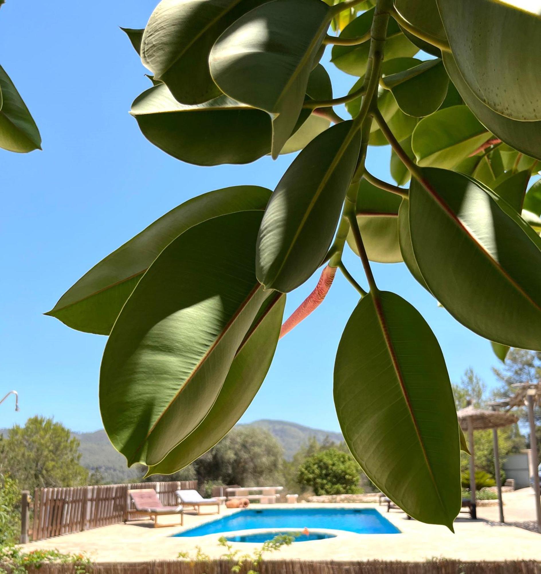 Villa Can Mestreso Suite Ibiza Sant Joan De Labritja Exterior photo